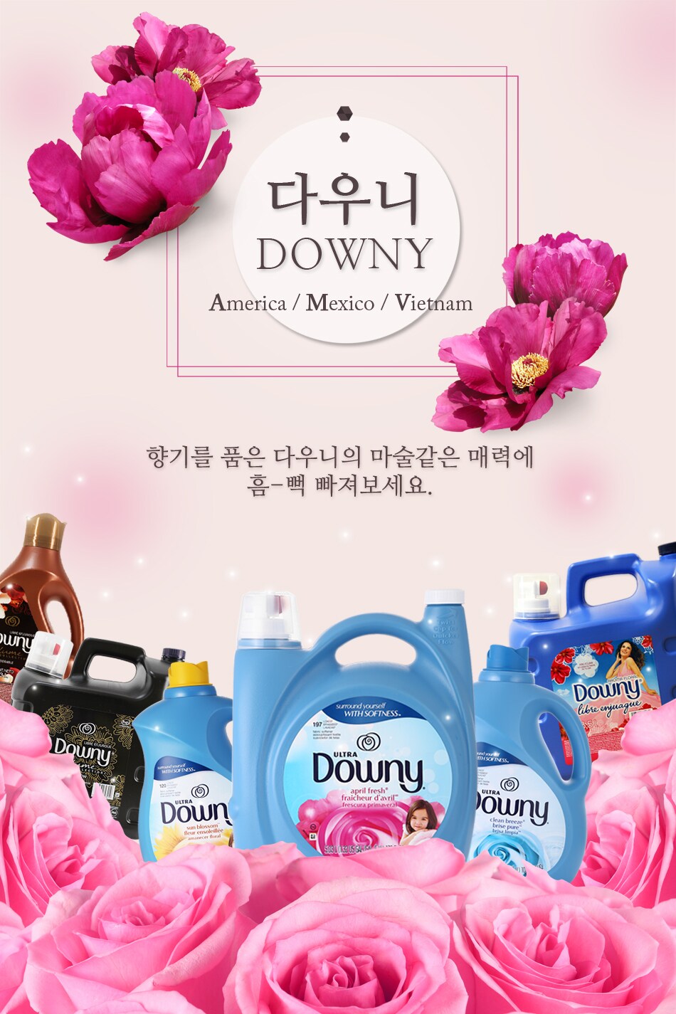downy_title
