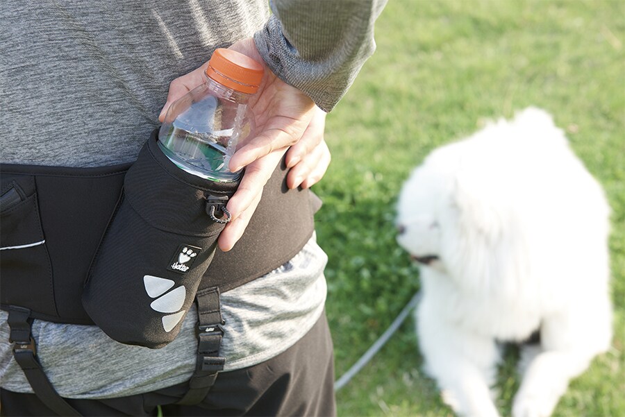 Hurtta Hiker Belt 저널 내지 이미지