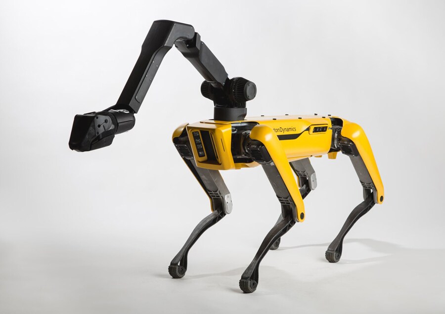 The Utility Dog 사진