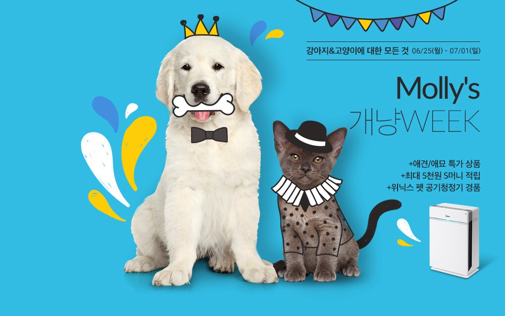 강아지&고양이에 대한 모든 것 몰리스 개냥위크