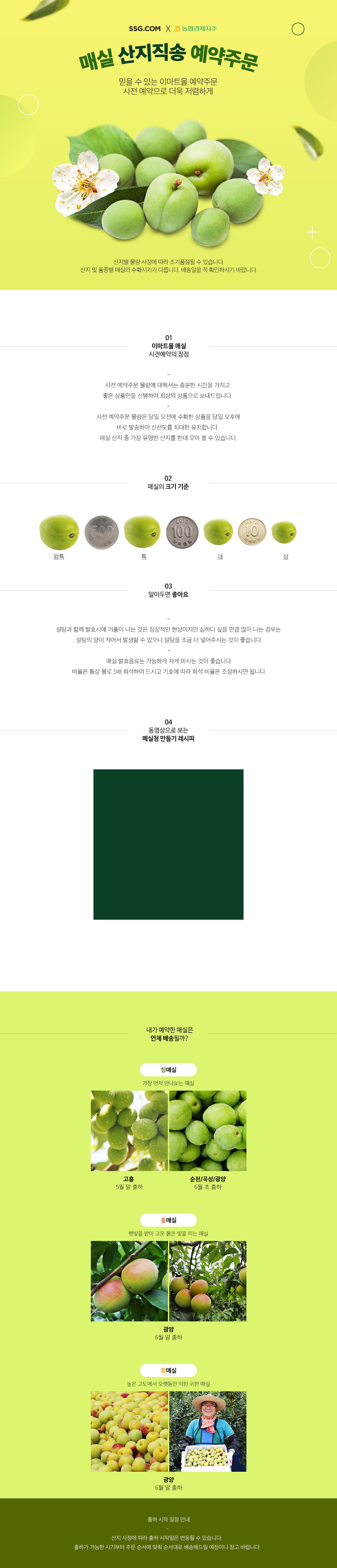 기획전 설명