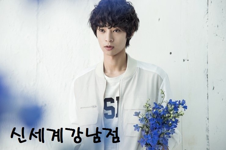 이미지컷