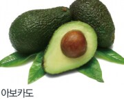 아보카도