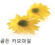怨⑤뱺移대え留덉씪