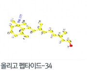 ?щ━怨??⑺??대뱶-34