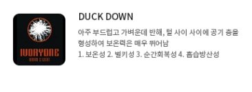 기능