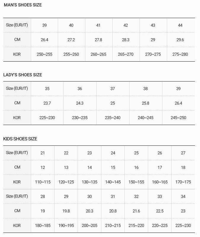 골든구스이미지