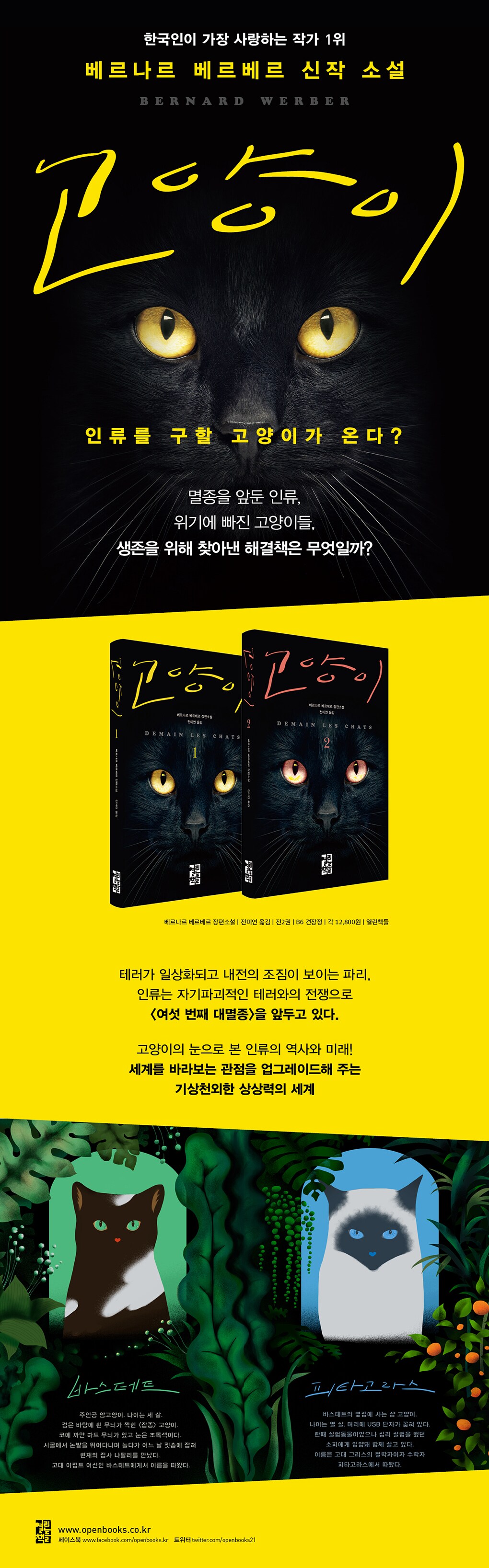 고양이 상세