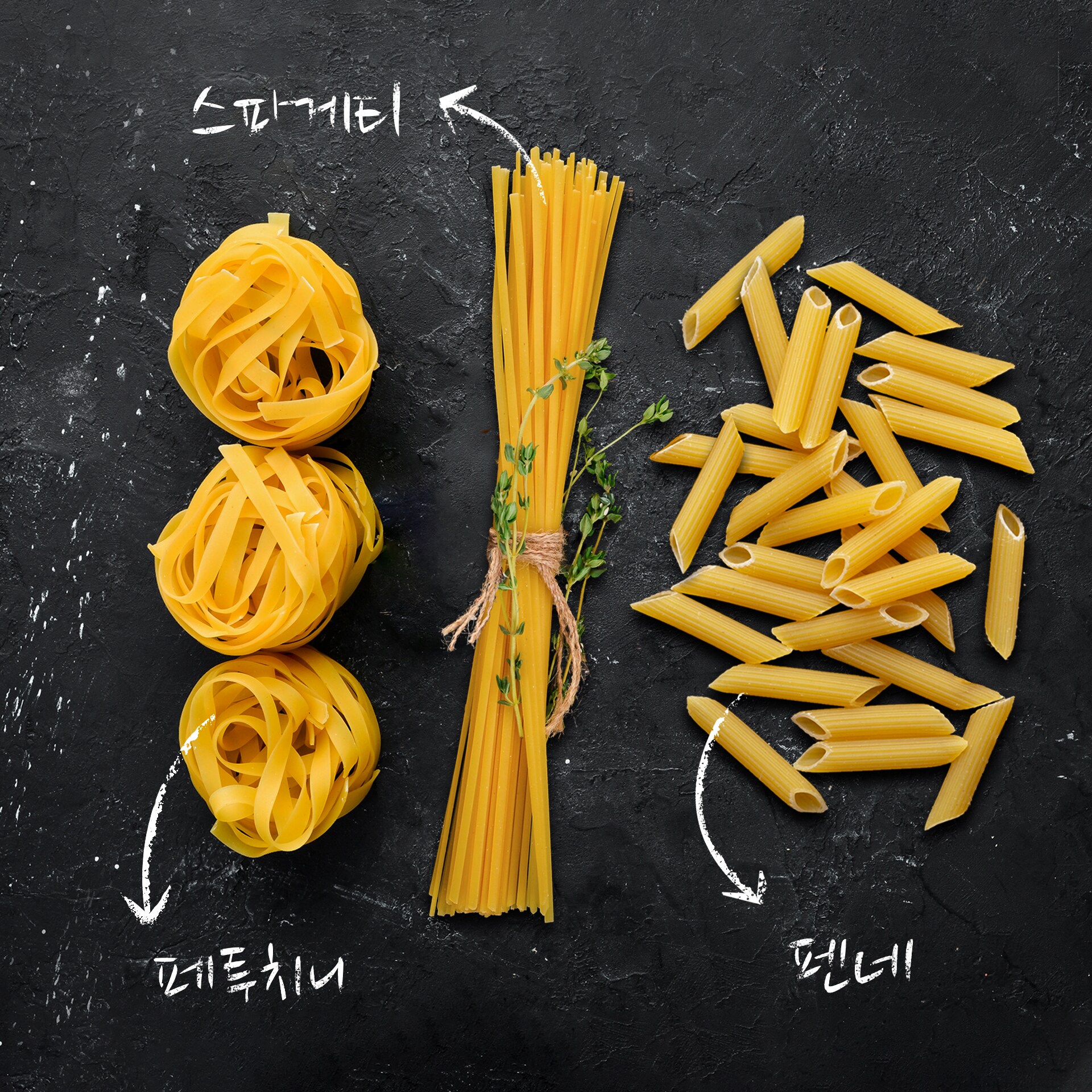 소스와 어울리는 파스타 면 선택법