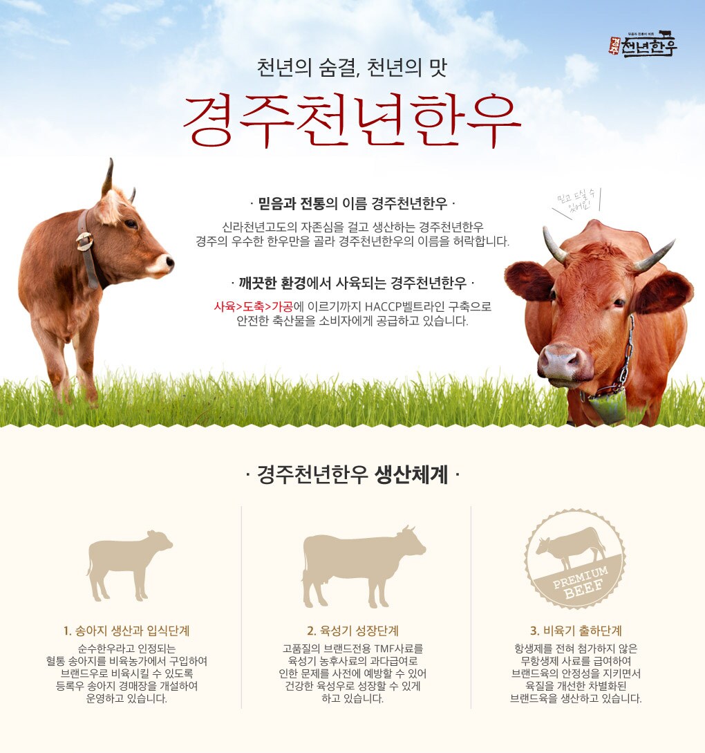 천년한우
