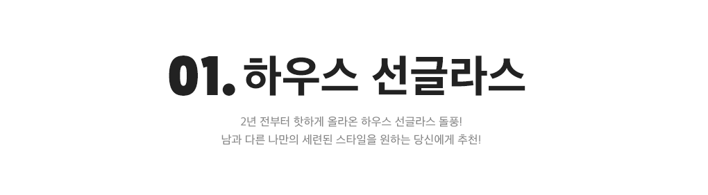 01. 하우스 선글라스