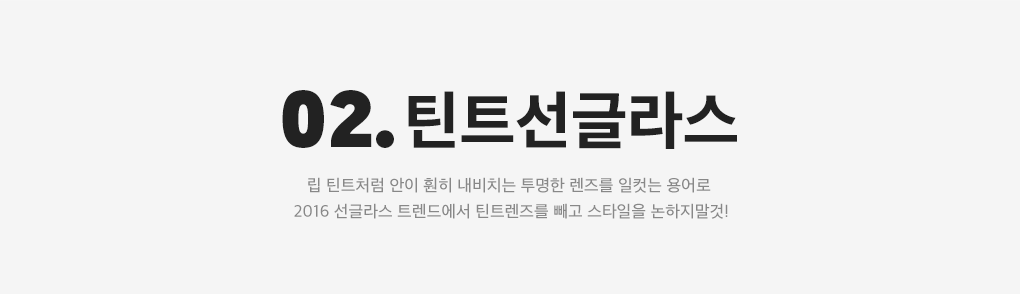 02. 틴트선글라스