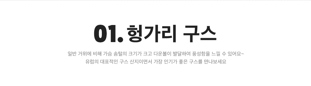 상세내용 아래 참조